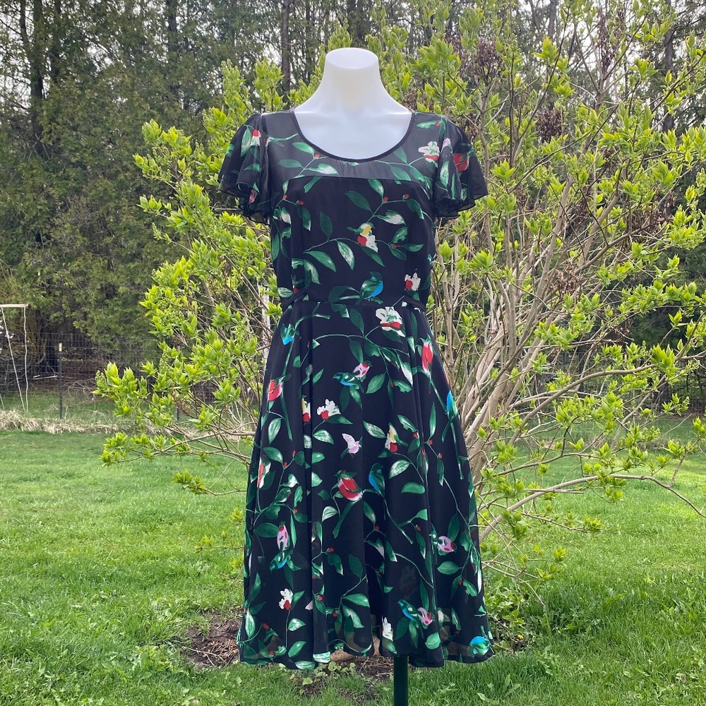 Black Bird Print Dress
